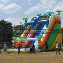 Tropical Inflatable Water Slides