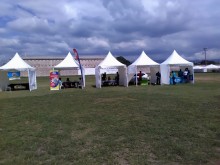 TENT RENTAL