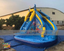 Flipper Waterslide with Pool