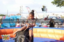 Mechanical Bull