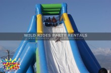 The Hippo Water Slide