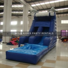 Dolphin Inflatable Water Slide