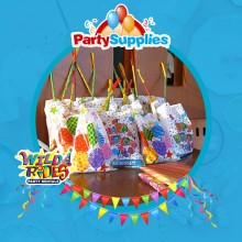Birthday Party Loot Bags